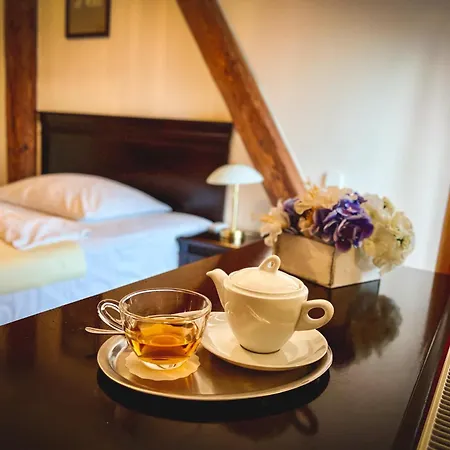 U Zeleneho Stromu Hotel