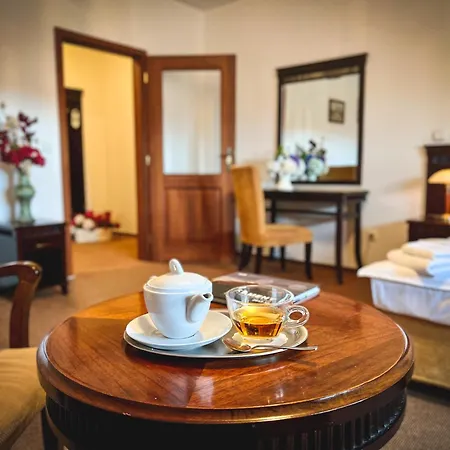 Hotel U Zeleneho Stromu Nepomuk (Plzen-South)