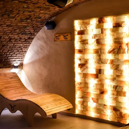 Hotel U Zeleneho Stromu
