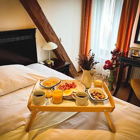 U Zeleneho Stromu Hotel 3*
