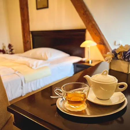 Hotel U Zeleneho Stromu 3*