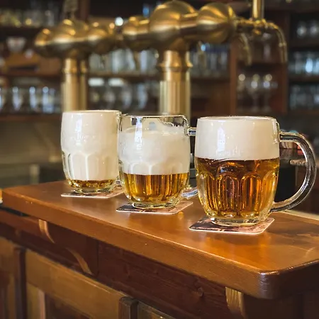 Hotel U Zeleneho Stromu Nepomuk (Plzen-South)