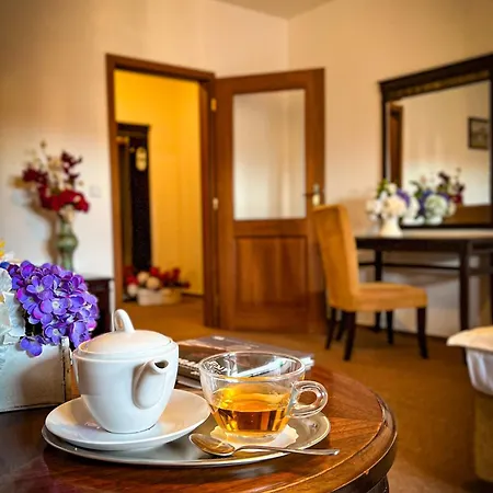 Hotel U Zeleneho Stromu