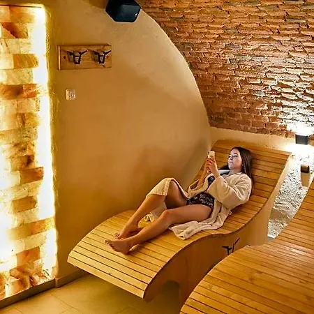 Hotel U Zeleneho Stromu Nepomuk (Plzen-South)