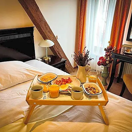Hotel U Zeleneho Stromu Nepomuk (Plzen-South)