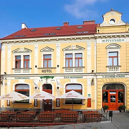 Hotel U Zeleneho Stromu Nepomuk (Plzen-South)