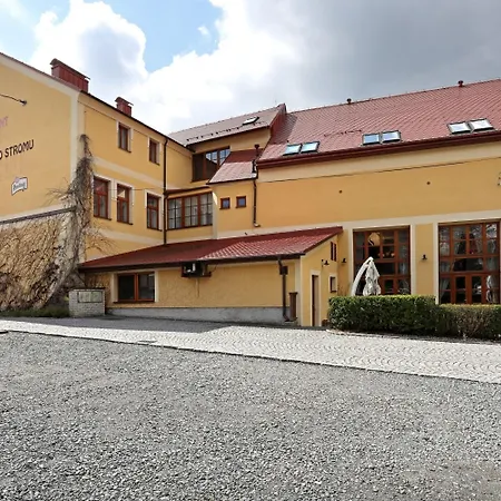 Hotel U Zeleneho Stromu Nepomuk (Plzen-South)