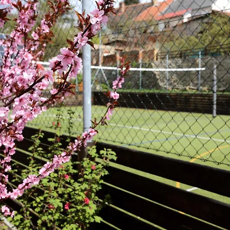 U Zeleneho Stromu Hotel 3*