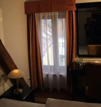 Hotel U Zeleneho Stromu 3*
