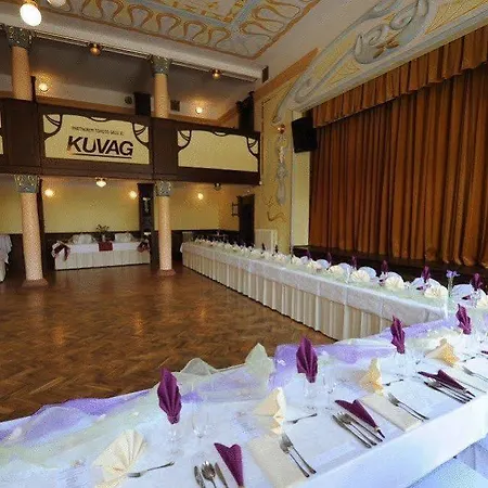 Hotel U Zeleneho Stromu 3*