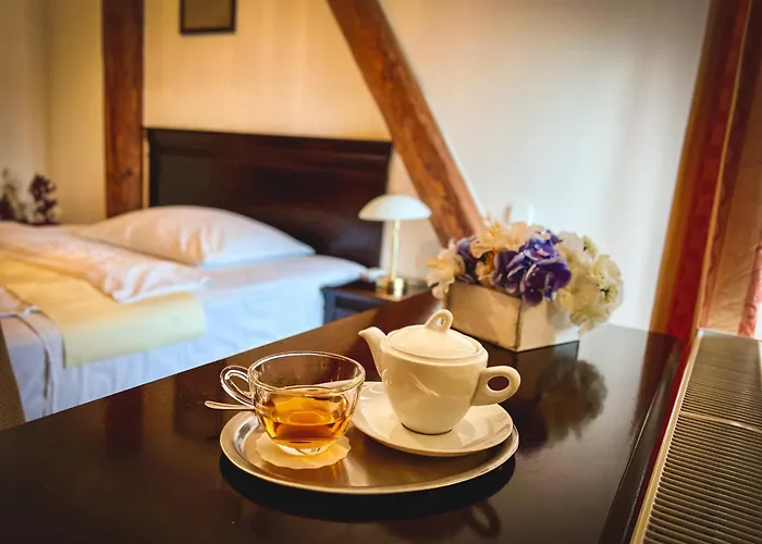 U Zeleneho Stromu Hotel