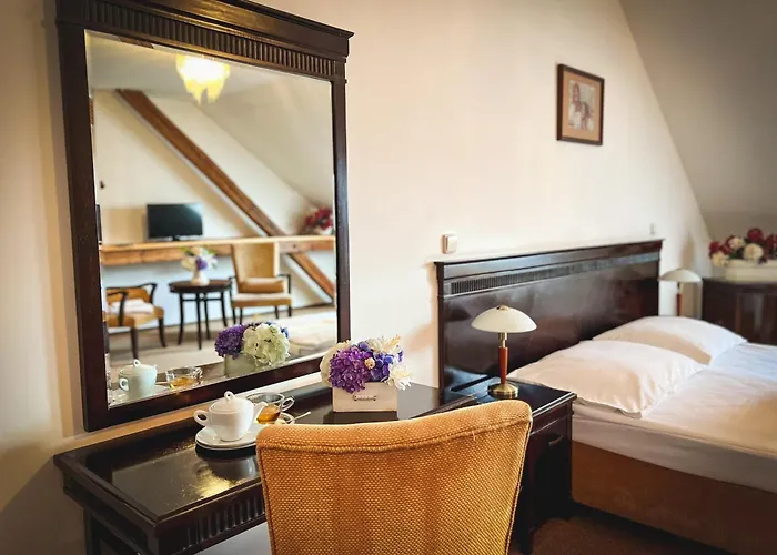 Hotel U Zeleneho Stromu Nepomuk (Plzen-South)