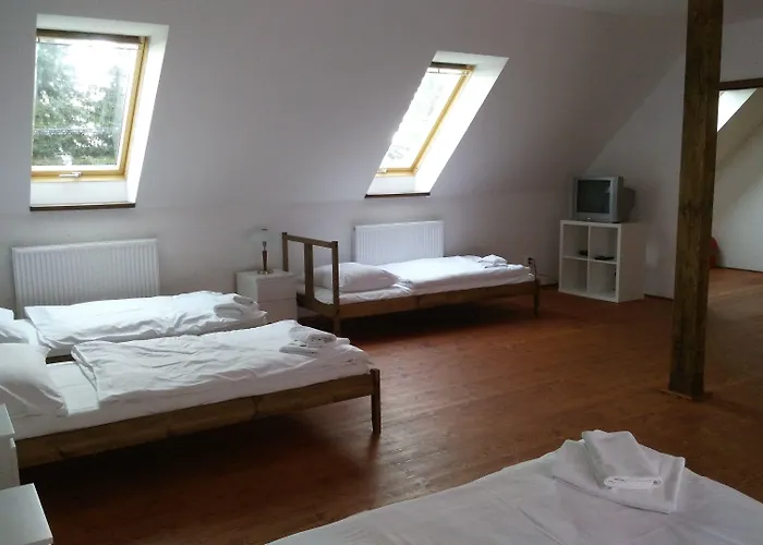 Hotel U Zeleneho Stromu 3*
