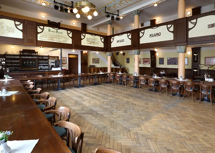 Hotel U Zeleneho Stromu Nepomuk (Plzen-South)