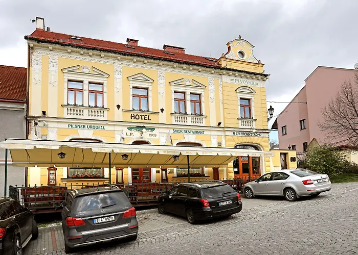 Hotel U Zeleneho Stromu 3*